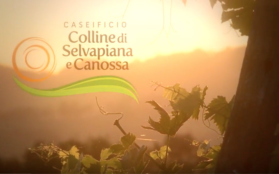 Caseificio Colline di Canossa Video di presentazione