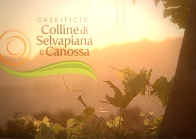 Caseificio Colline di Canossa Video di presentazione