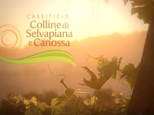 Caseificio Colline di Canossa Video di presentazione